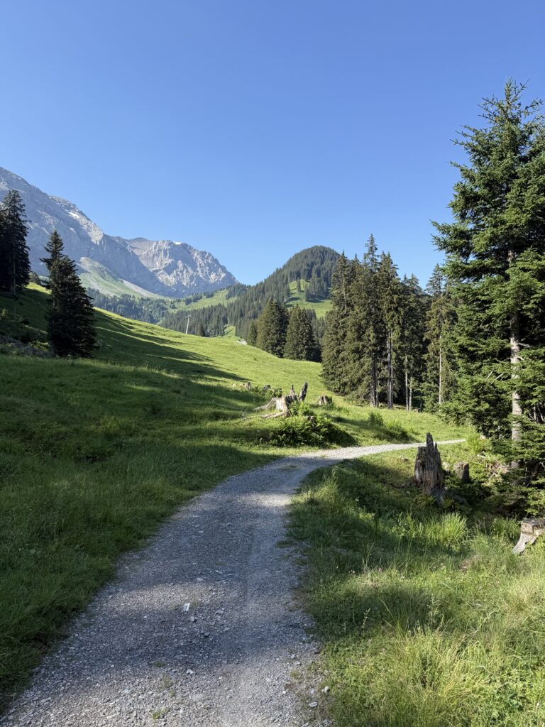 start of the hike